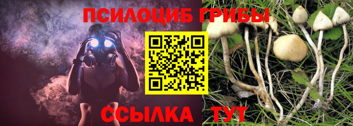 Псилоцибиновые грибы прущие грибы Мелеуз
